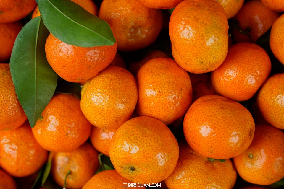 小橘子，每天最多吃5个!   图老师