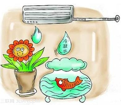 空调冷凝水可用来养花   图老师