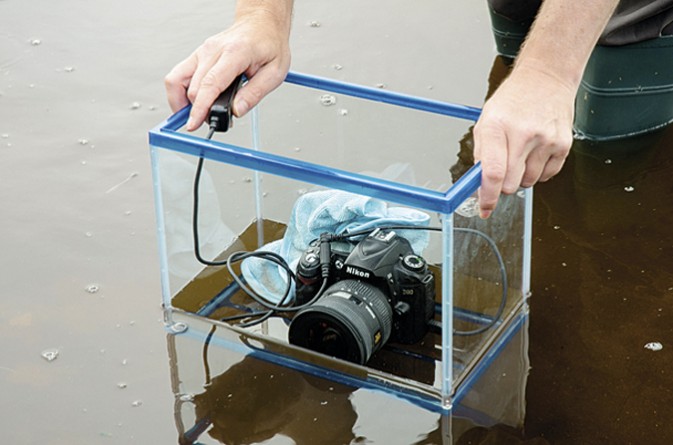 只要有鱼缸，不用防水盒也能拍出水面下