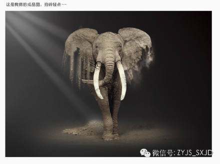 巧用photoshop打造大象沙漠化效果 图老师
