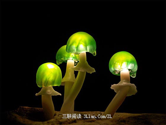 日本设计师 Yukio Takano 设计的蘑菇灯 图老师