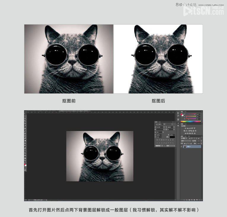 Photoshop使用通道给黑色猫咪抠图   图老师