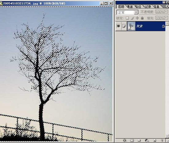 photoshop抠图教程-树枝抠图方法
