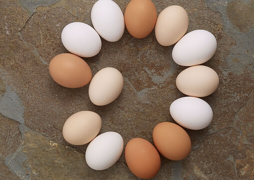 为什么半熟的鸡蛋不要吃 图老师