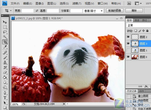 Photoshop大搞怪：合成可爱海豹型荔枝 