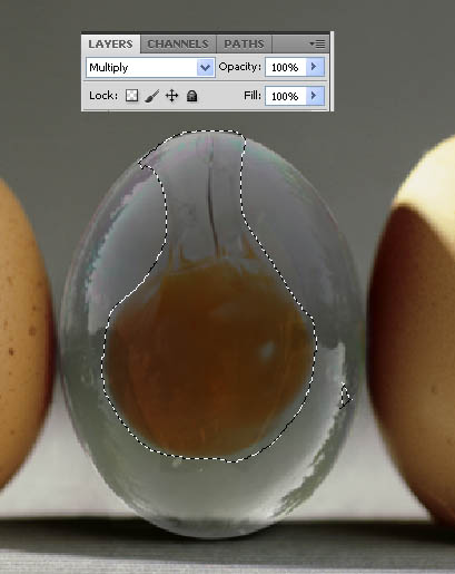 2012082220485056 在Photoshop中合成逼真的透明鸡蛋