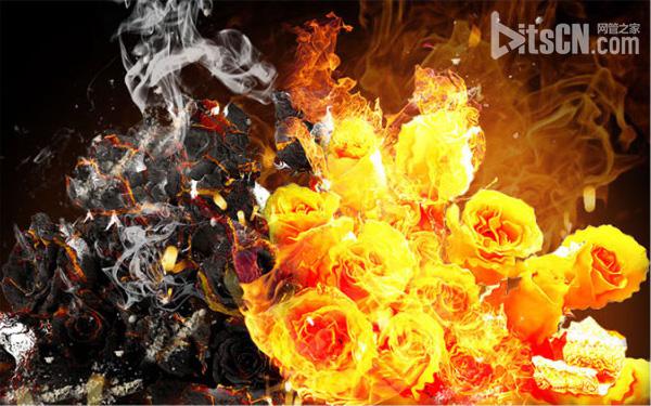 Photoshop合成制作烈焰中燃烧的火玫瑰效果   图老师