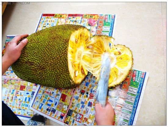 菠萝蜜买回来怎么吃（图解） 图老师