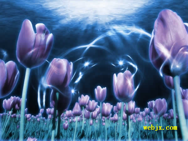 用PS合成生长在海底的紫色郁金香梦幻效果图片图老师