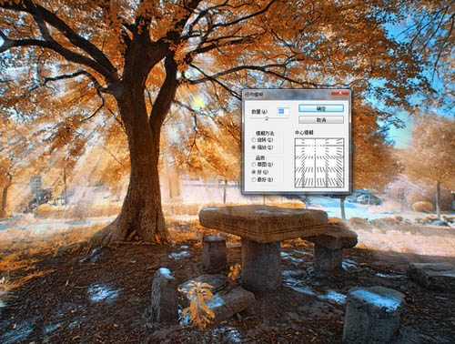 PS滤镜给大树照片添加唯美太阳光效果