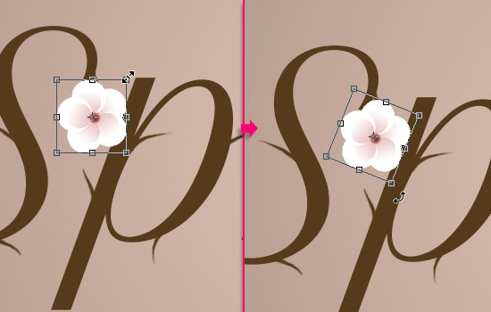 PS教程：创建清新雅致的樱花效果字体