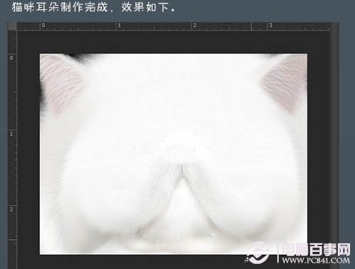 photoshop 鼠绘神态憨厚的小白猫头像 电脑百事网