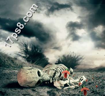 用photoshop合成死亡场景-骷髅与玫瑰