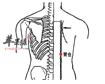 胃仓穴穴位位置图_胃仓穴的功效与作用_按摩手法