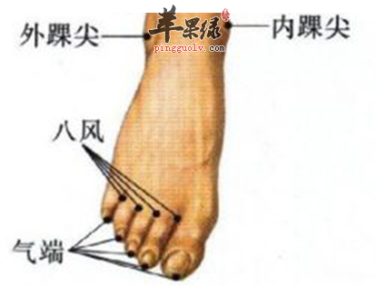 外踝尖穴穴位位置图_外踝尖穴的功效与作用_按摩手法
