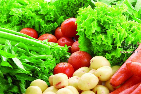 青菜常见绿色蔬菜 降脂解毒可排毒