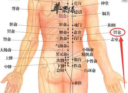 胃仓穴穴位位置图_胃仓穴的功效与作用_按摩手法