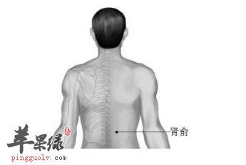 肾俞穴位位置及图片_肾俞穴的功效与作用_按摩手法