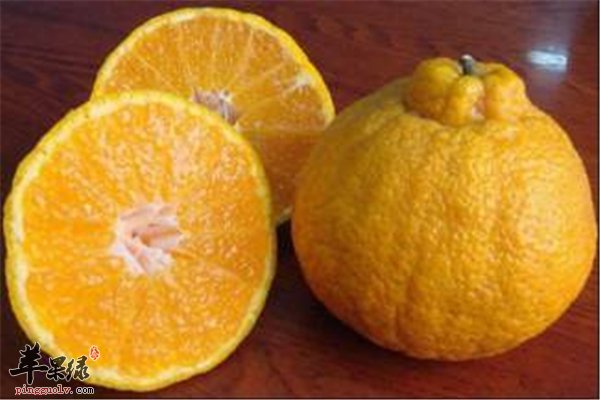 常吃水果有益健康 桔子和芦柑橘是一样的吗