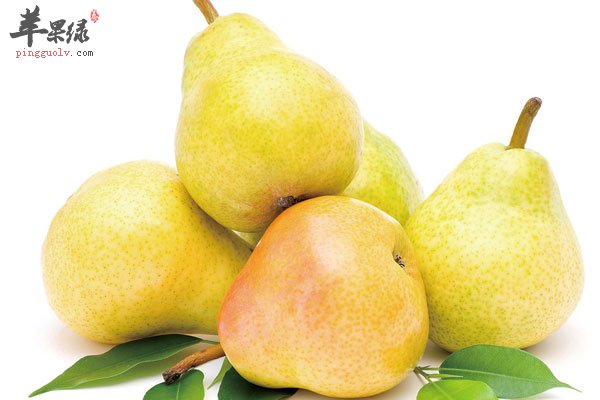 春季吃梨可以防癌还能止咳