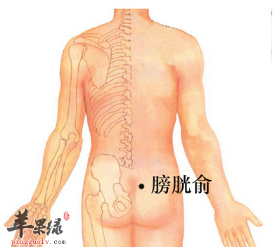 膀胱俞位位置及图片_膀胱俞的功效与作用_按摩手法