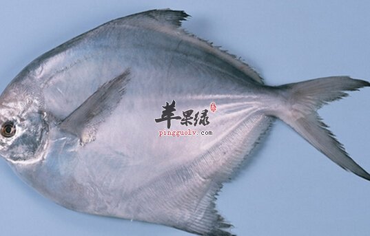 平鱼的营养价值
