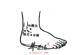 外踝尖穴穴位位置图_外踝尖穴的功效与作用_按摩手法