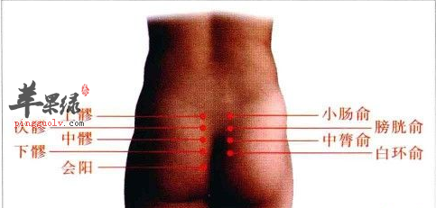 膀胱俞位位置及图片_膀胱俞的功效与作用_按摩手法