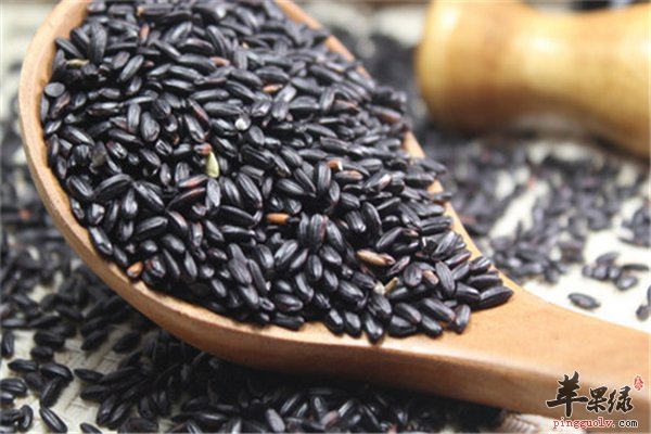 大米种类多功效不同 黑米紫米有区别