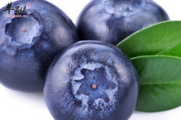 蓝莓怎么吃 蓝莓吃后的效果和作用