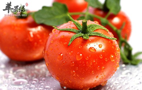 番茄，一个健康生活离不开的菜