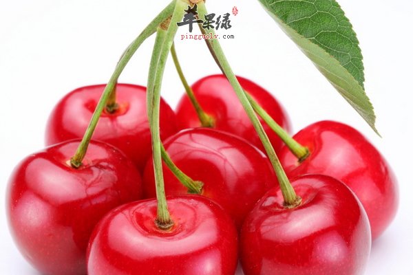 多吃樱桃有害健康 适当食用有利健康