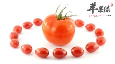 番茄的营养价值，没有那么简单