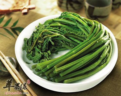 新鲜碧绿的蕨菜.jpg