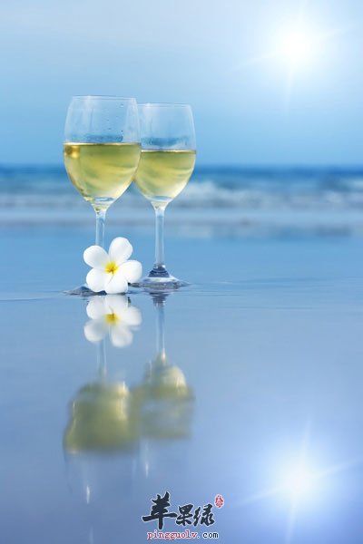 海边的白葡萄酒