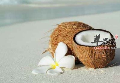 沙滩上的椰子.jpg