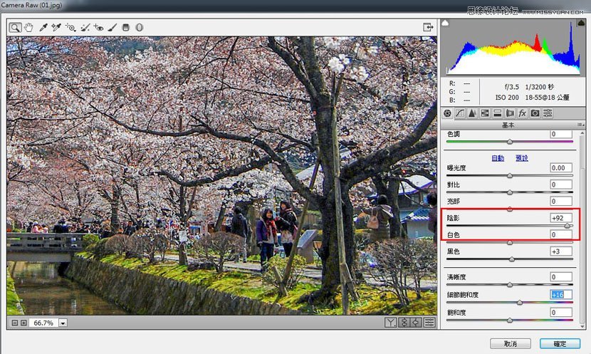 Photoshop给旅游树木照片添加唯美日系效果,PS教程,图老师教程网