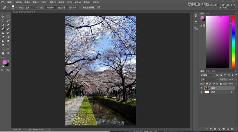 Photoshop给旅游树木照片添加唯美日系效果,PS教程,图老师教程网