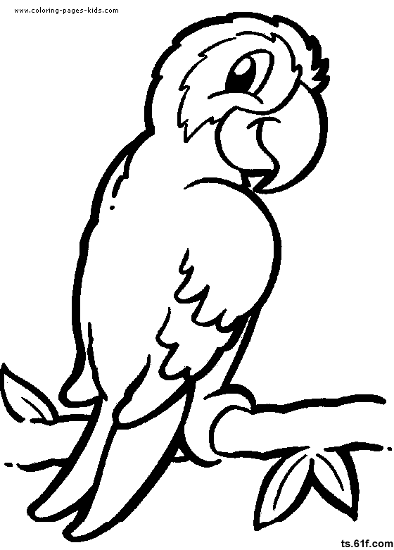  可爱小动物的简笔画-鹦鹉