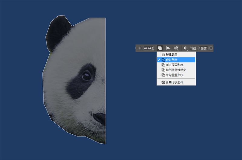 电脑绘制星空熊猫头像教程