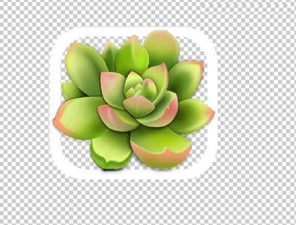 用Photoshop软件制作多肉植物图标的图文教程