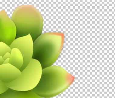 用Photoshop软件制作多肉植物图标的图文教程