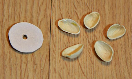 如何利用开心果壳制作花束 开心果壳手工制作