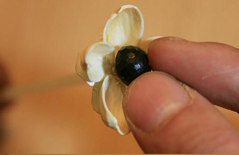 如何利用开心果壳制作花束 开心果壳手工制作