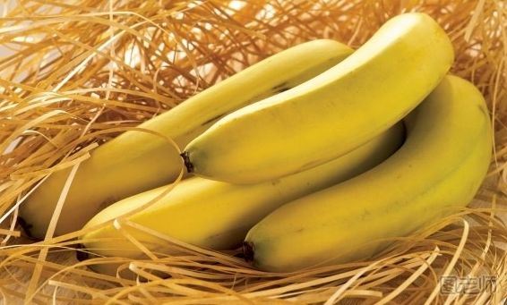 香蕉减肥法有用吗