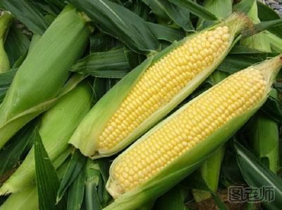 玉米能生吃吗