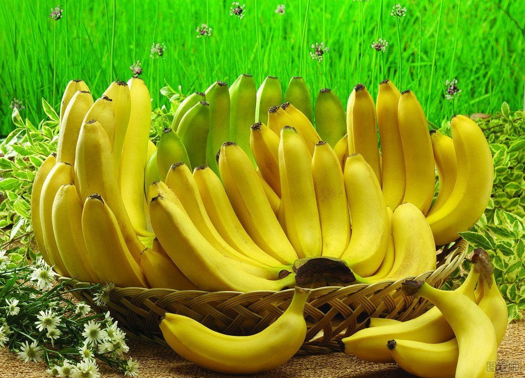 吃香蕉有什么好处  吃香蕉有哪些好处