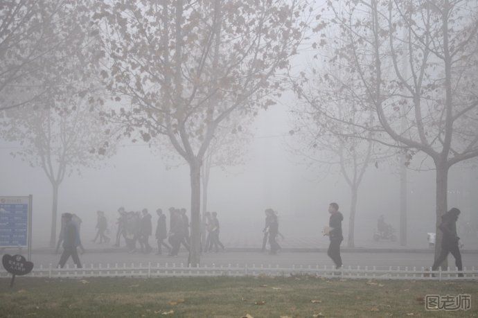 新年全国多地迎雾霾 雾霾天气出行需要注意什么