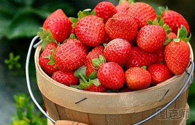 草莓怎么保存 草莓怎样保存时间长