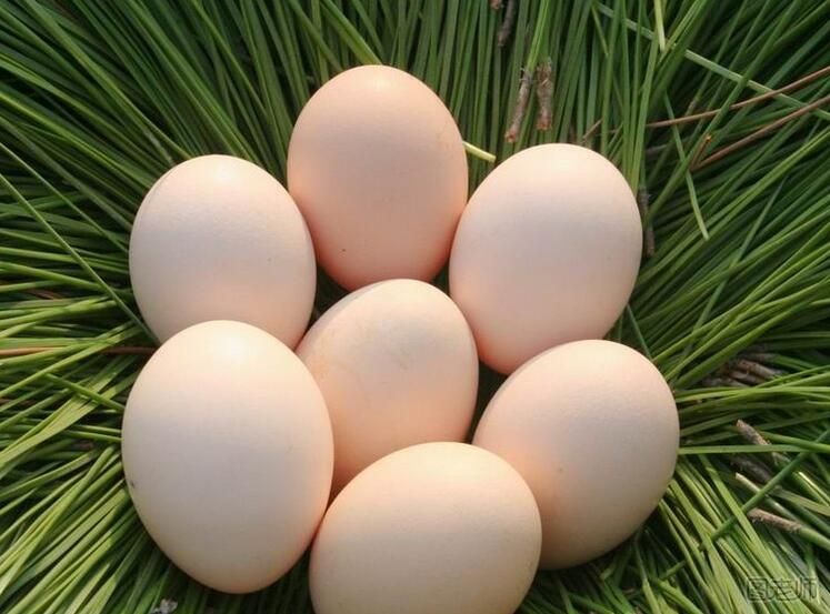 哪些食物不能吃完鸡蛋后立即吃  吃鸡蛋要注意什么
